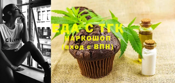 гашик Семилуки