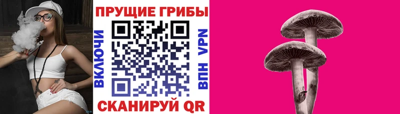 Псилоцибиновые грибы MAGIC MUSHROOMS  Вихоревка 